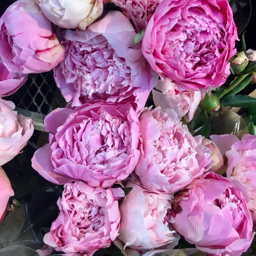 Make an Offer! Everything Must Go!